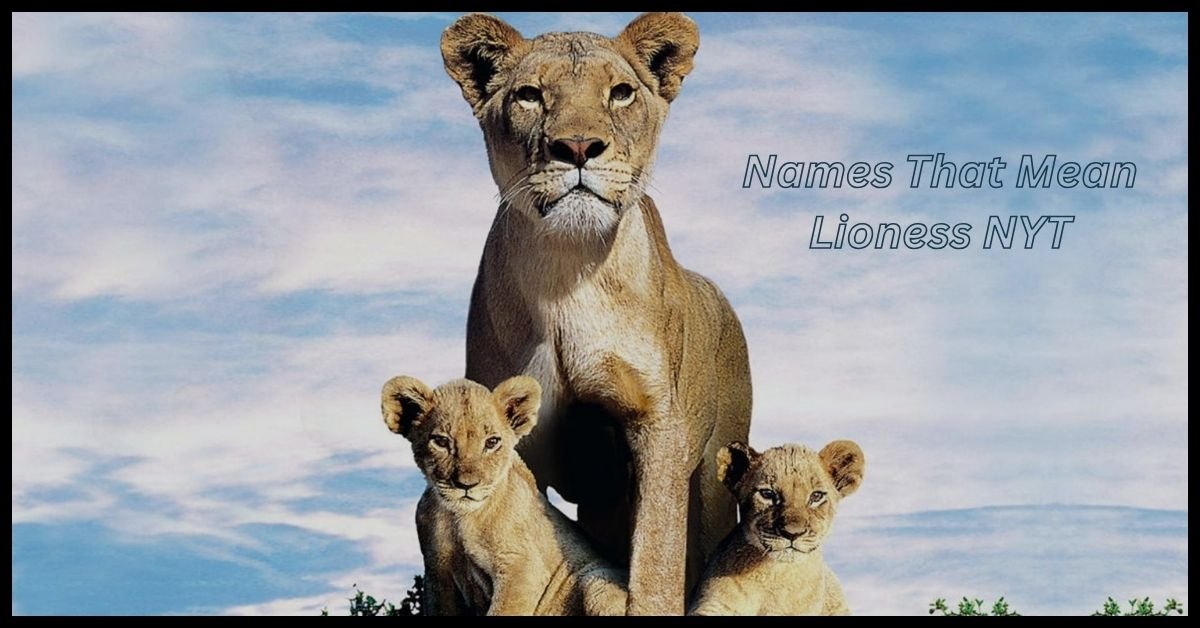 Names That Mean Lioness NYT